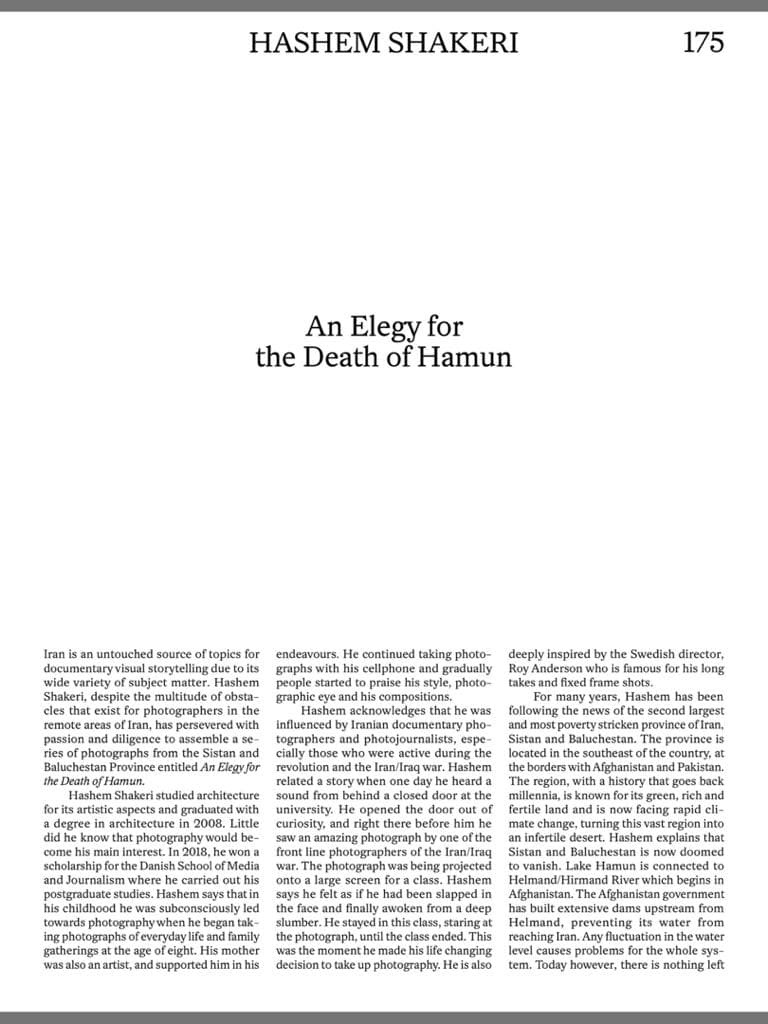 Foam Magazine: An Elegy for the Death of Hamun by Hashem Shakeri