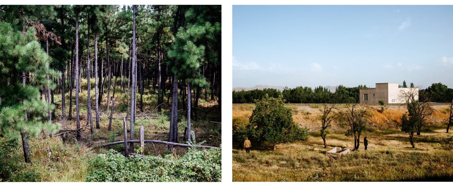 Blind Magazine – An Article on “Evidence Railroad” series by Khashayar Javanmardi- Author: Sabyl Ghoussoub